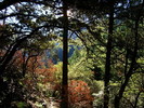 photo thumbnail #12