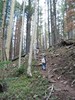 photo thumbnail #7
