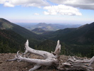 photo thumbnail #10