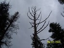 recent photo
