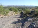 photo thumbnail #1