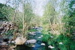 photo of comment