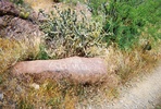 photo thumbnail #4