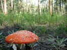 photo thumbnail #3