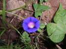photo thumbnail #1