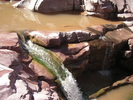 photo thumbnail #5