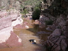 photo thumbnail #7