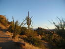 photo thumbnail #8
