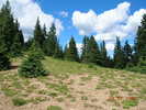photo thumbnail #7