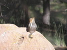 photo thumbnail #3