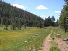 photo thumbnail #10