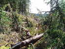 photo thumbnail #9