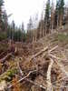 photo thumbnail #10