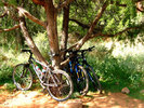 photo thumbnail #2