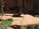 photo thumbnail #6