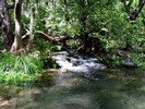 photo thumbnail #9