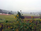 photo thumbnail #10
