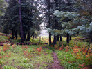 photo thumbnail #2
