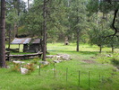 photo of comment