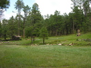 photo thumbnail #6