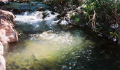 photo thumbnail #11