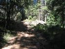 photo thumbnail #5