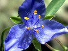 photo thumbnail #13