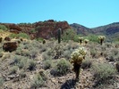 photo thumbnail #3
