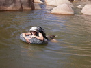 photo thumbnail #10