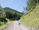 photo thumbnail #3
