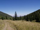 photo thumbnail #8