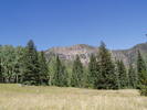 photo thumbnail #10