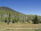 photo thumbnail #11