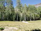 photo thumbnail #12
