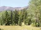 photo thumbnail #13