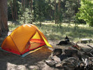photo thumbnail #3