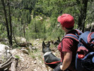 photo thumbnail #5