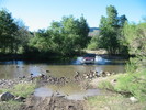 photo thumbnail #3