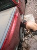 photo thumbnail #4