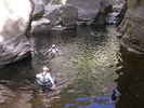 photo thumbnail #11