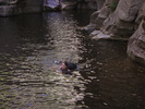 photo thumbnail #13