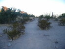 photo thumbnail #4