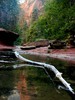photo thumbnail #1