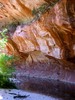 photo of comment