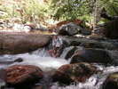 photo thumbnail #10
