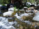 photo thumbnail #10