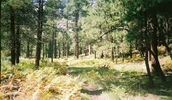 photo thumbnail #1