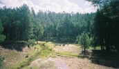 photo thumbnail #4