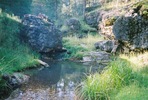 photo thumbnail #9