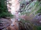 photo thumbnail #14